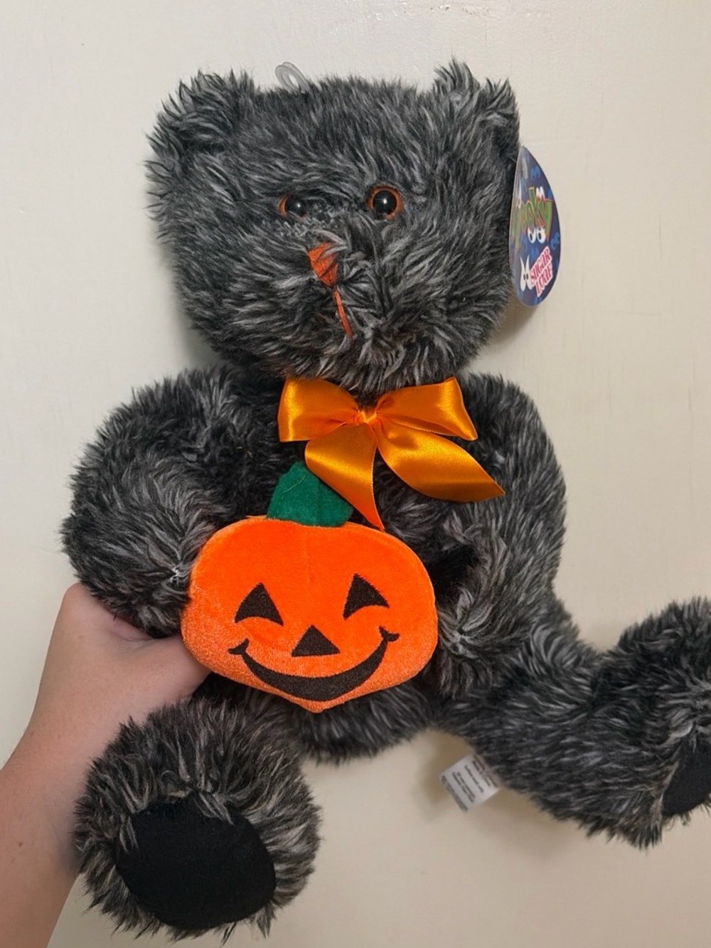 Sugar Loaf Halloween Bear